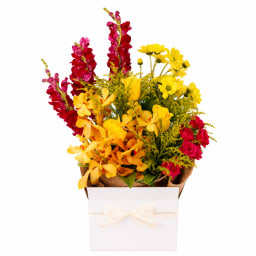Colourburst Bloom Box