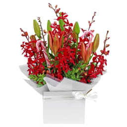 Making Christmas Magic