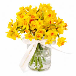 Jumping Jonquils