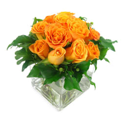 Orange Rose Vase