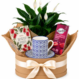 🤍☕ Peace Lily Tea & Treats Hamper ☕🤍
