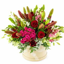 Best In Bloom