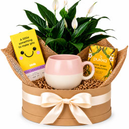 💗🌿 Peace Lily & Sweet Smiles Hamper 🌿💗