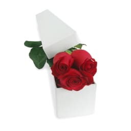 Single Elegant Rose Box