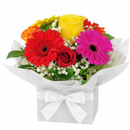 Levity Bloom Box