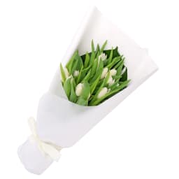 White Tulip Bunch