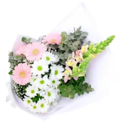 Little Garden Blooms Posy