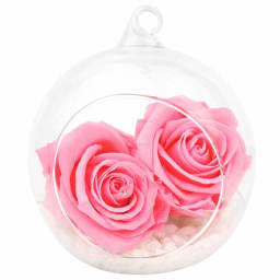 Preserved Pink Rose Orb