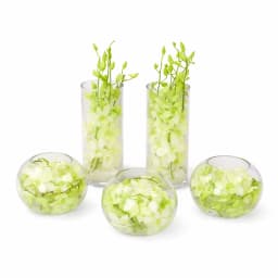 Elegant Celebrations