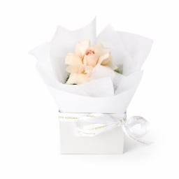 Rosie Bloom – Single Rose Mini Box Arrangement