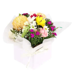 Florist Choice Mini Box