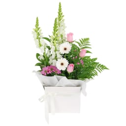 Pastel Passion Bloom Box