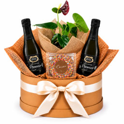 ❤️🌿 Anthurium & Bubbles Plant Hamper 🥂❤️.