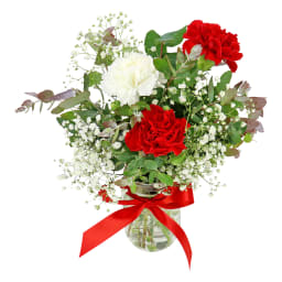 Three Xmas Blossoms Vase