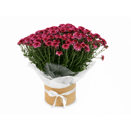 Grand Chrysanthemum Hat Box