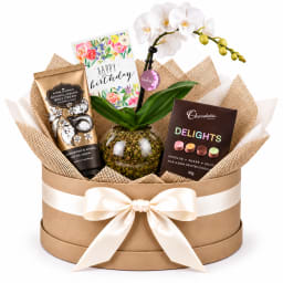 🌸🎂 Birthday Blooms & Little Luxuries Plant Hamper 🎂🌸