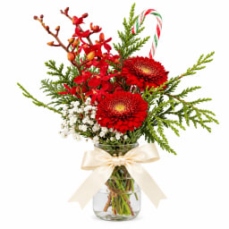 Red Festive Mason Jar