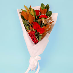 Crimson Fortune Blooms