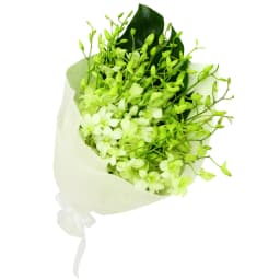 White Orchid Bunch
