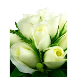 White Rose Vase