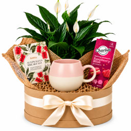 🌸🌿 Peace Lily & Pink Tea Delights Plant Hamper 🌿🌸