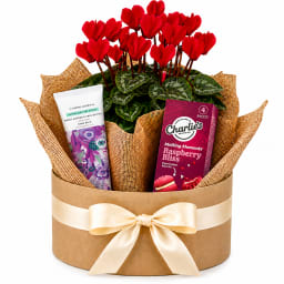 ❤️🌸 Sweet Blooms & Bliss Plant Hamper 🌸❤️