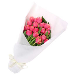 Pink Tulip Bunch