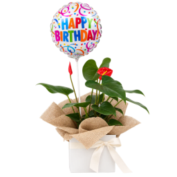 🎈🌺 Birthday Blooms & Wishes 🌺🎈
