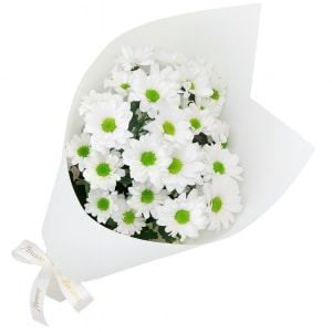 White Chrysanthemum Bunch
