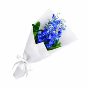 Blue Delphinium Flower Bunch