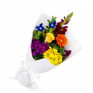 Little Bright Blooms