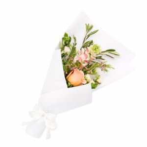 Peachy Paws Petal Elegance