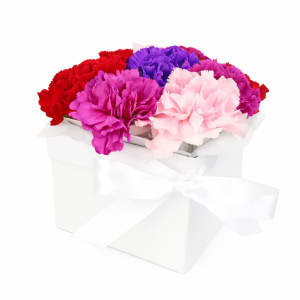 Little Carnation Flower Box – Mixed Colours