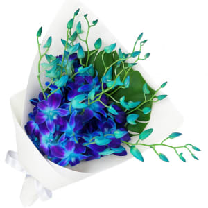 Blue Orchid Bunch