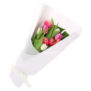 Mixed Pastels Tulip Bunch