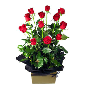 Red Rose Presentation Box