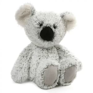 Koala William - Standard