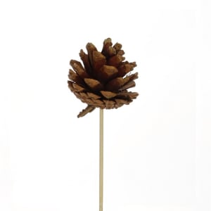 Rustic Pine Cone Pick - Standard