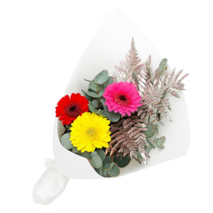 Mini Gerbera Gems Posy 