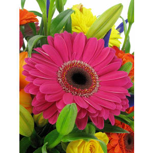 Vivacious Mixed Brights Flower Box