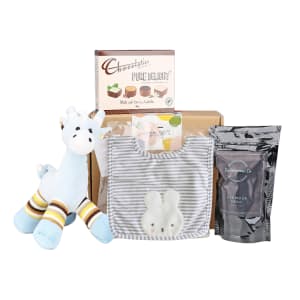 Baby Bliss Bunny Baby Boy Hamper - Standard