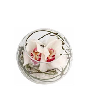 White Cymbidium Orchid Glass Fish Bowl Arrangement