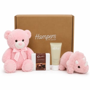 🎀🩷 Baby Girl Cuddles Hamper 🩷🎀 - Standard