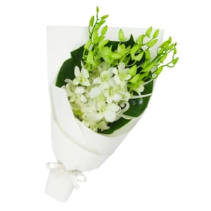 White Orchid Bunch