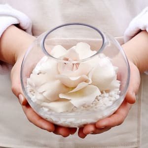 Peach Blossom Wedding Package