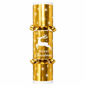 Merry Christmas Christmas Cracker - Standard