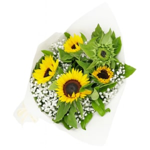 Cheerful Sunflowers