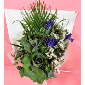 Daily Bouquet Iris Harmony