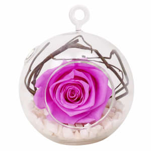 Baby Lily Rose Orb 