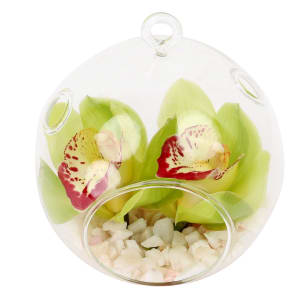 Green Orchid Orb 